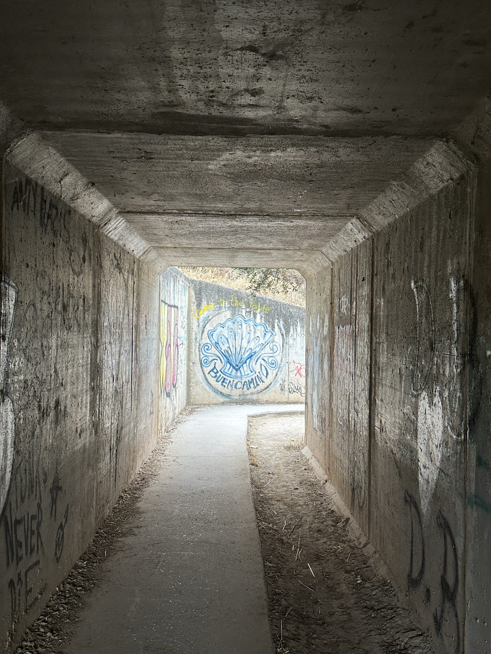 Graffiti of a seashell, with the greeting "Buen Camino!" written under it.